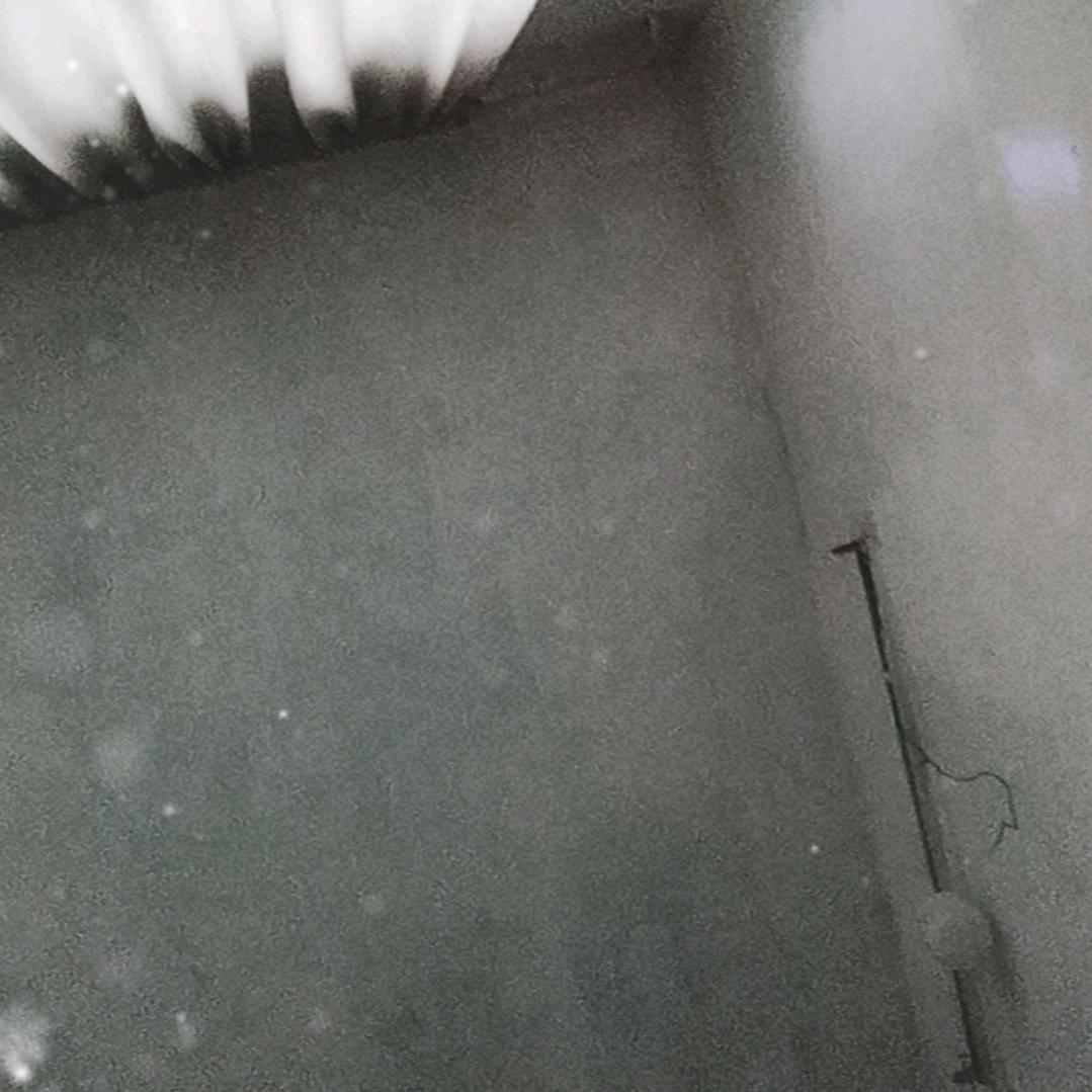 荆楚王少