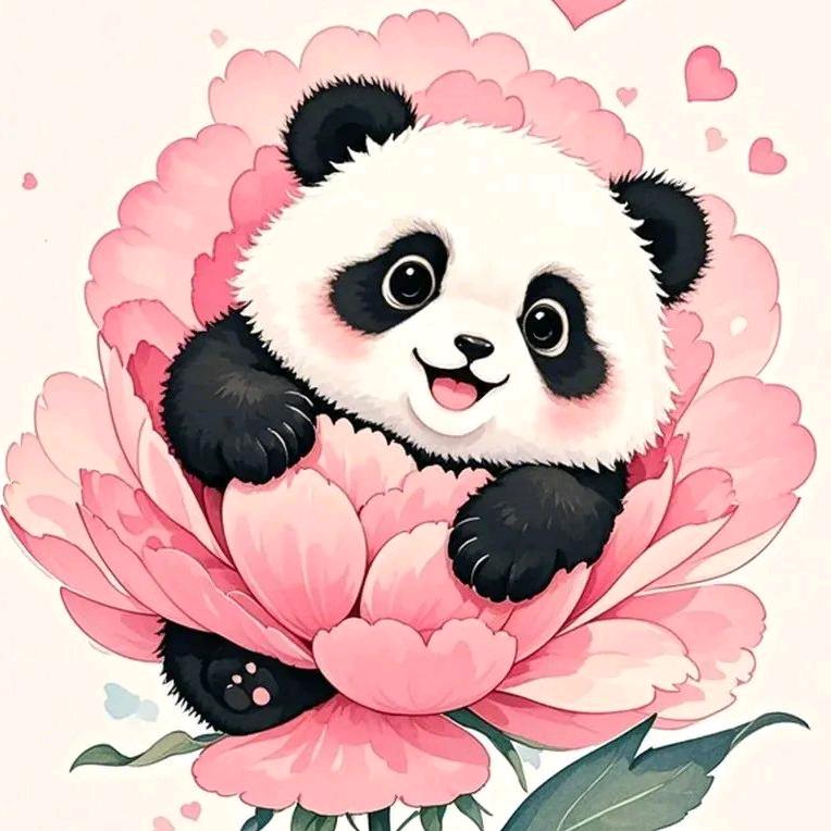 是阿Li啊❤