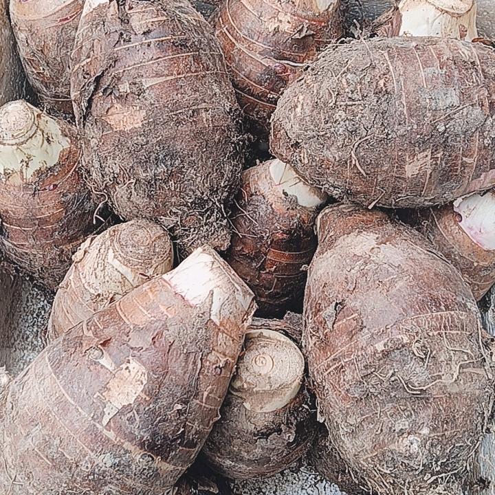 荔浦特产优品店