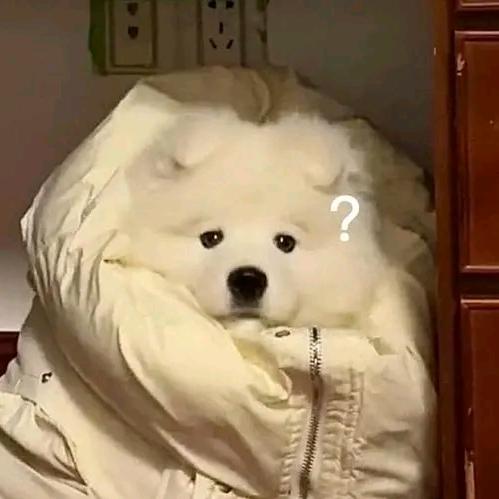 幻塔模特
