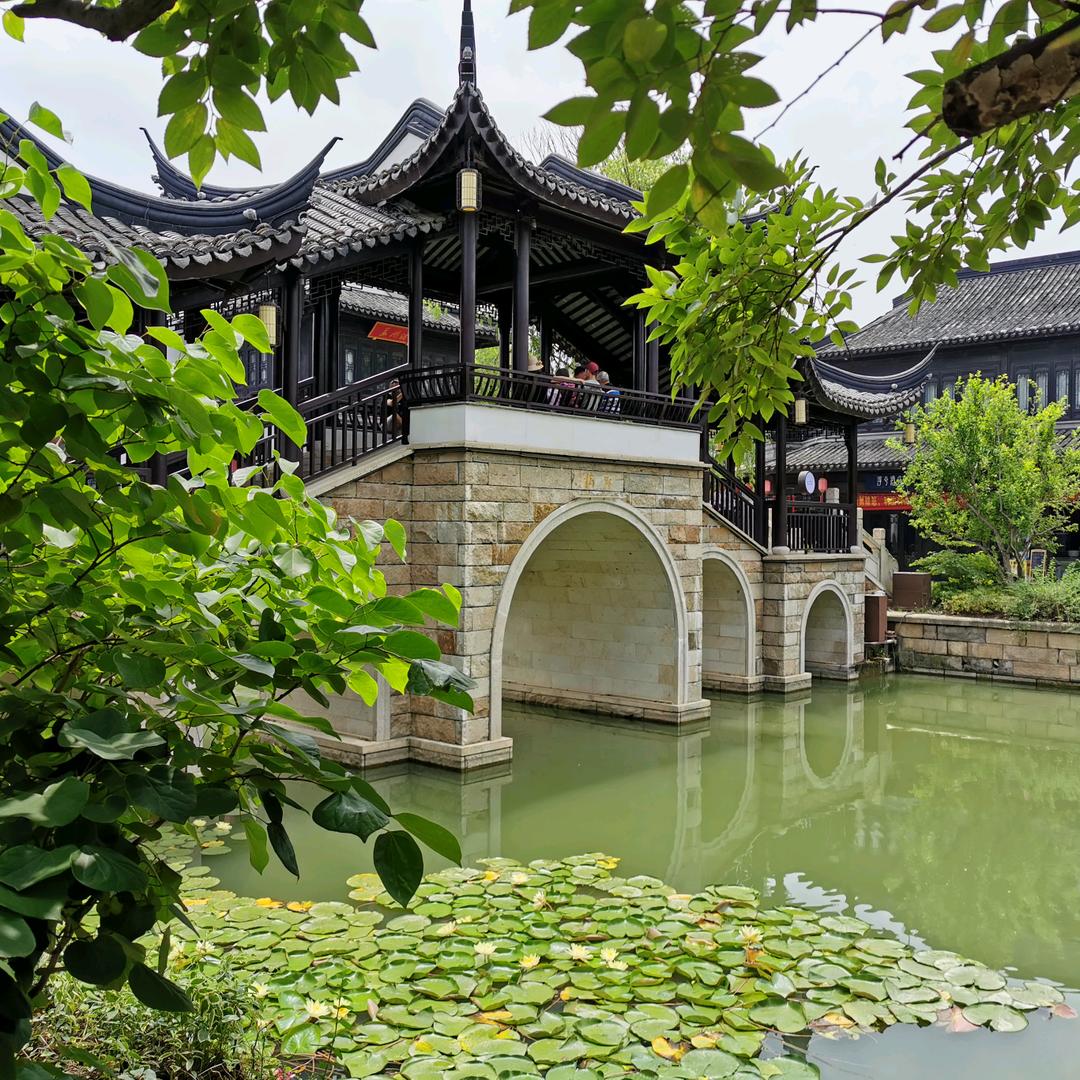 陈