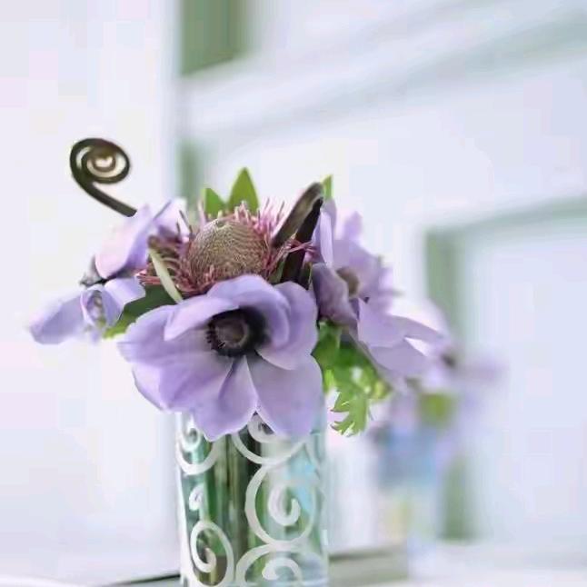 大🌹琴🌷姐🌸