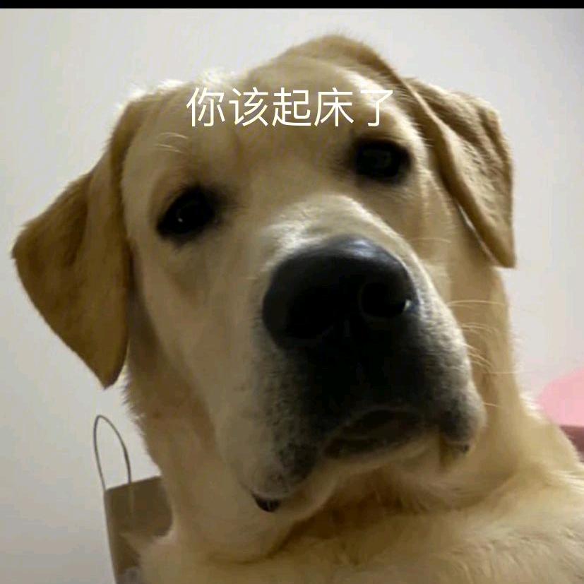 @辰辰在农村