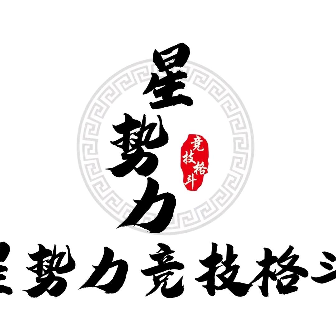 安顺星势力竞技格斗