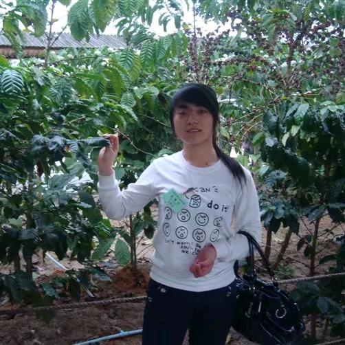 晓丽（首播筹备中）