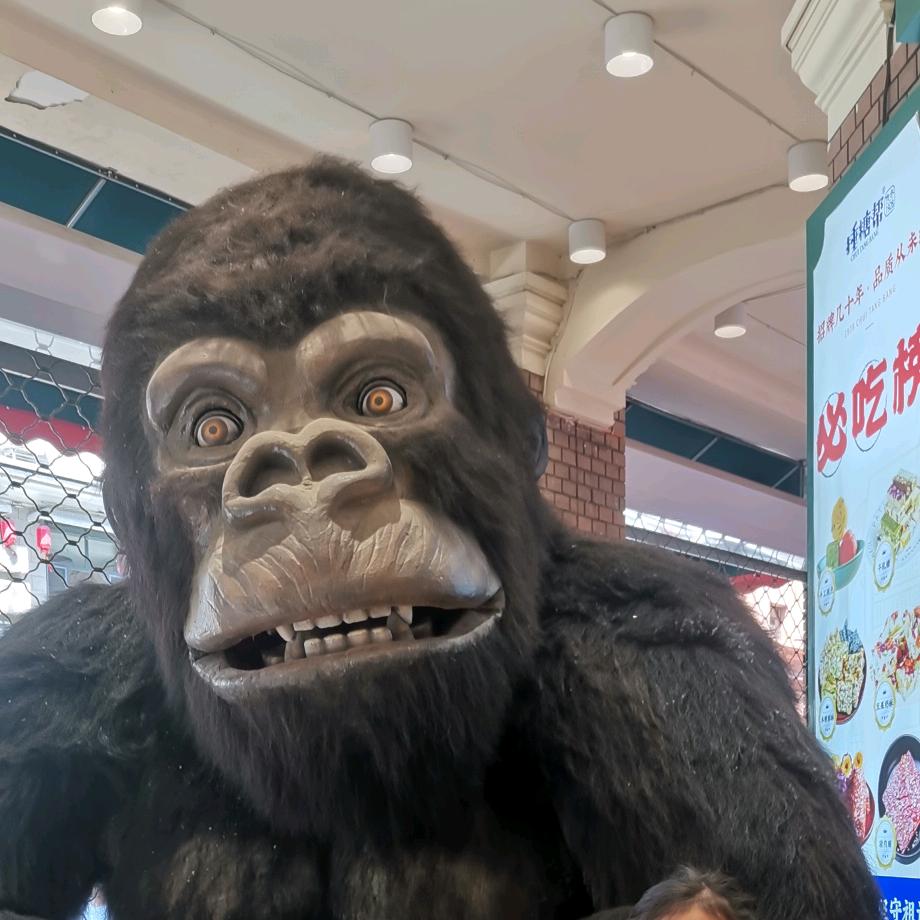 大眼
