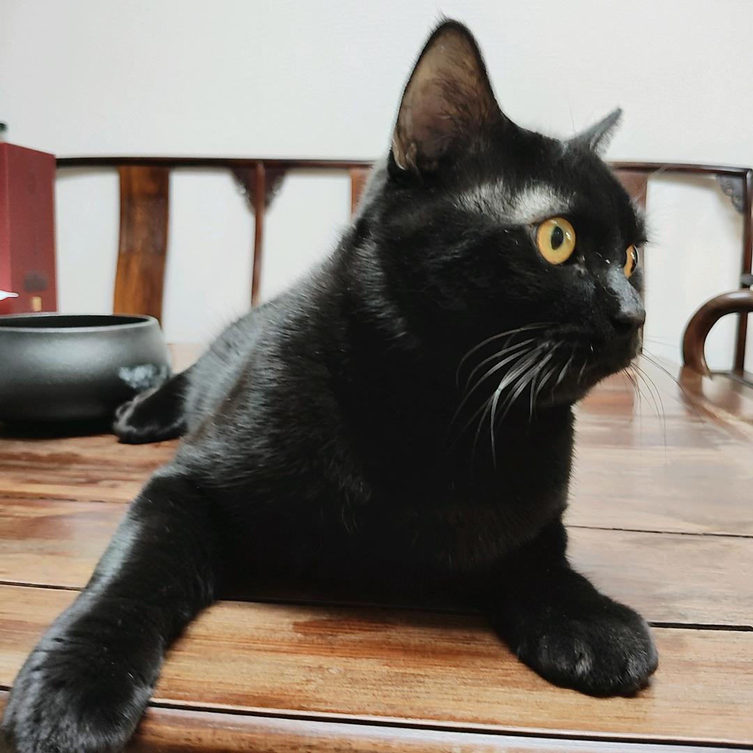 爱玩贴纸的洗衣机