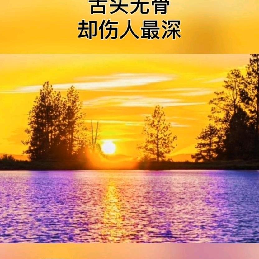 大漠胡杨