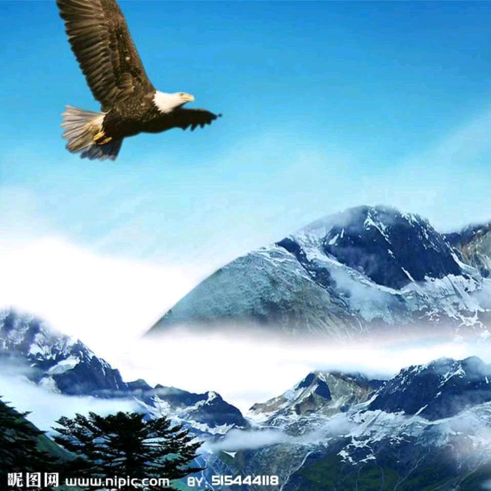 天使的梦