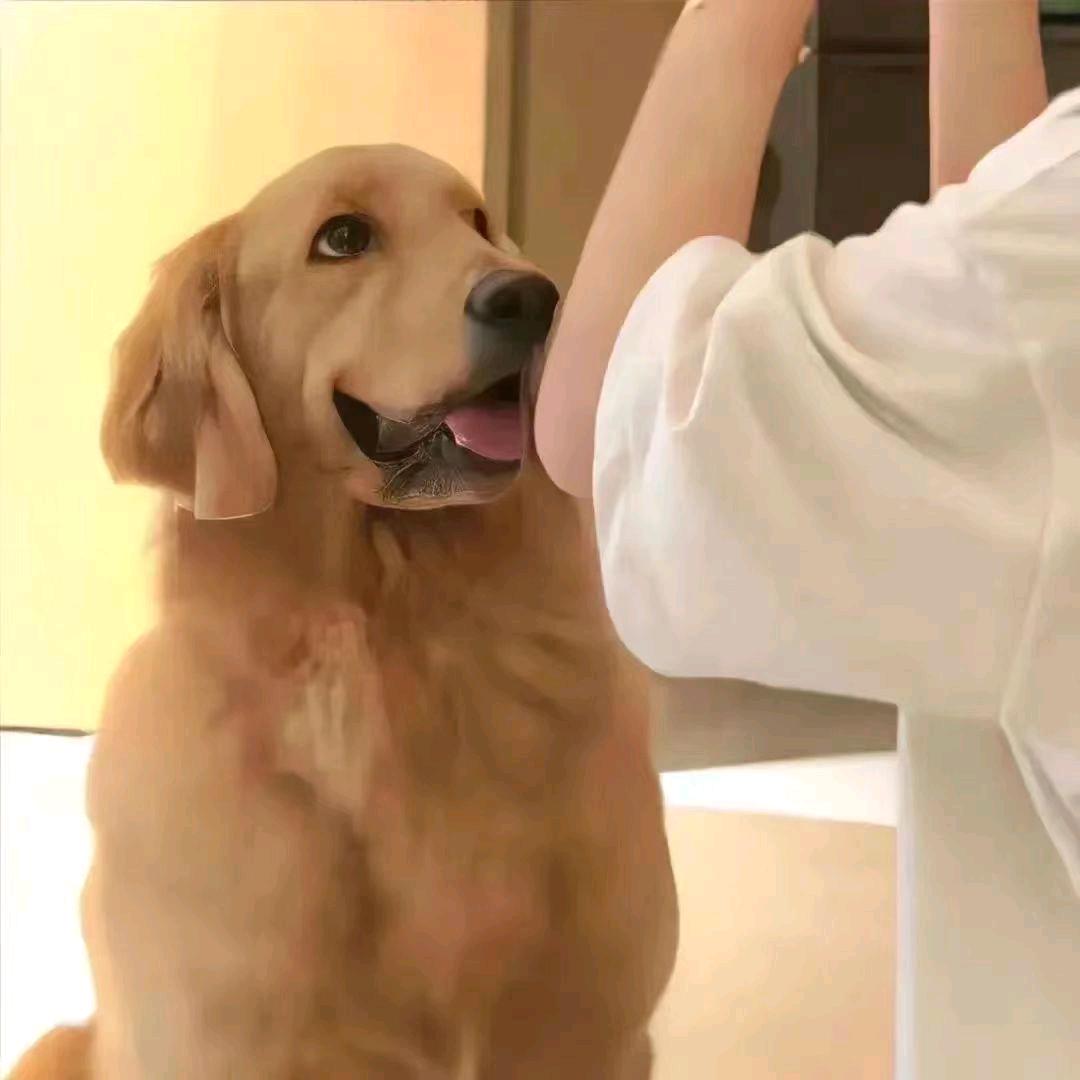 卡戎