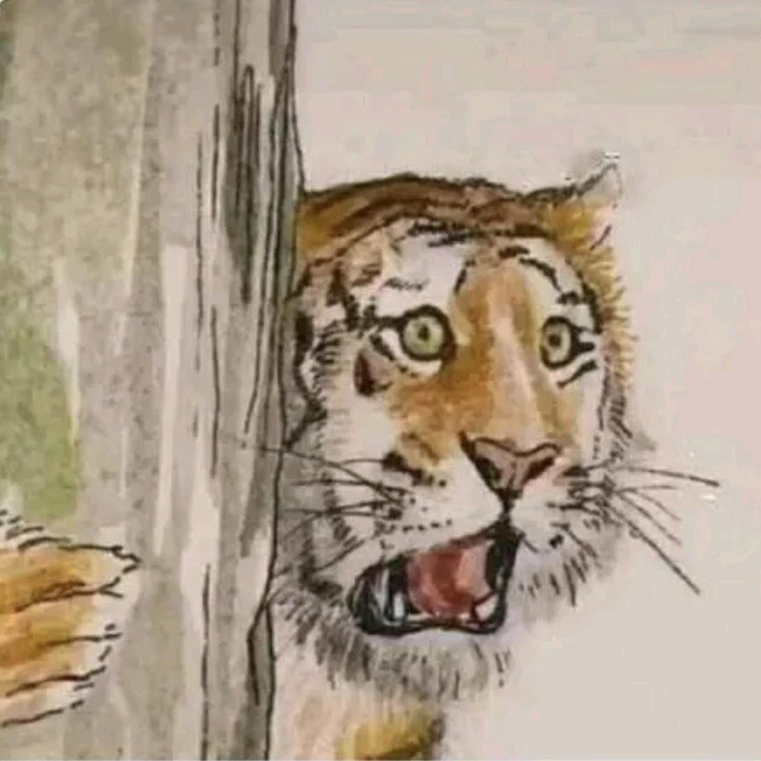 森雨晓町儿童摄影大郭