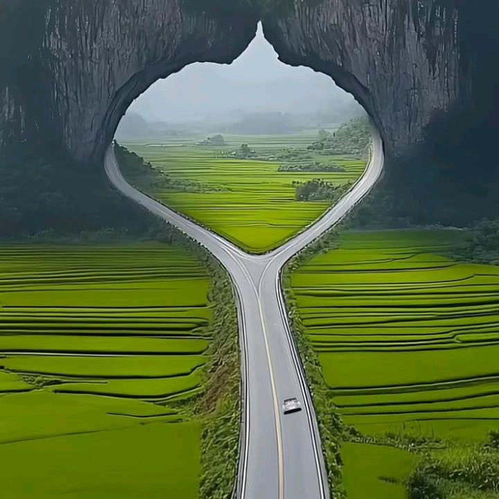 无怨无悔