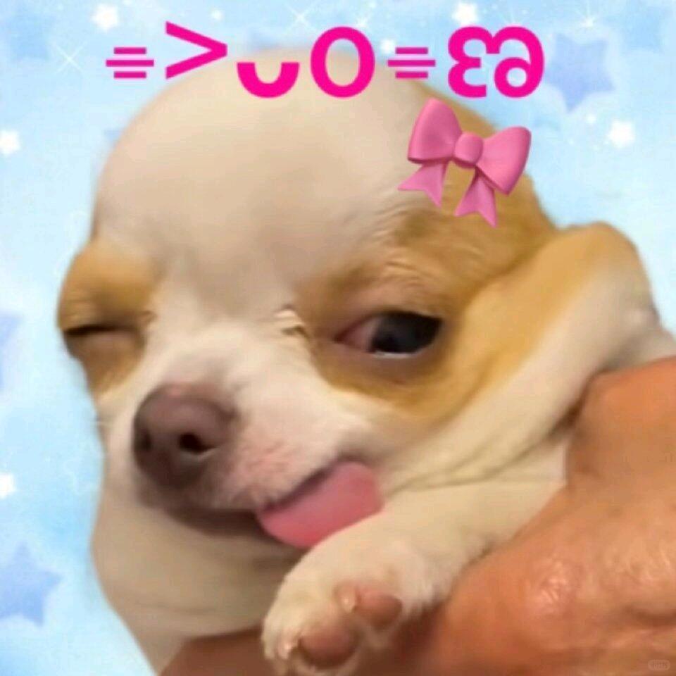 一个无敌邪魅升天帅的小赵