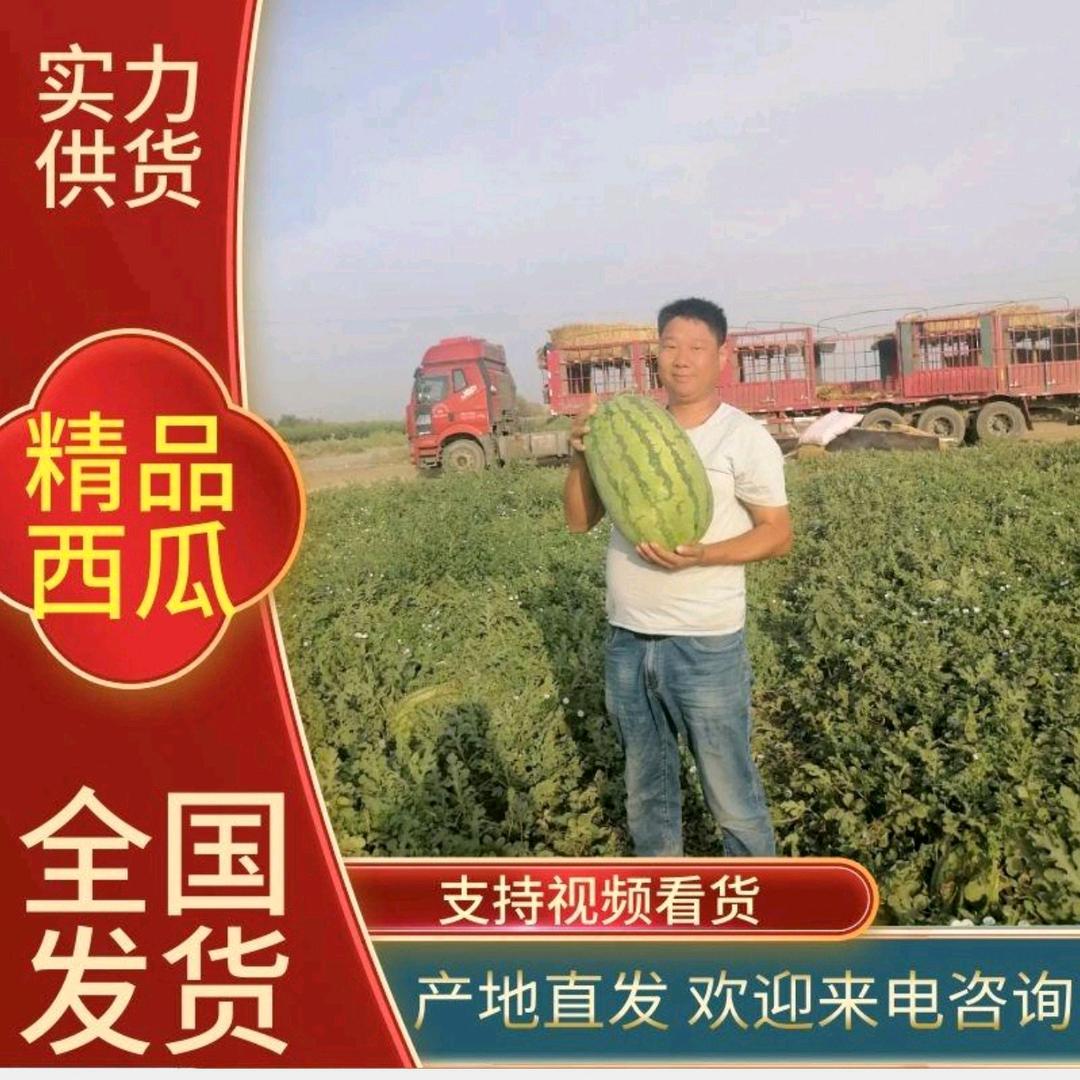 《晓飞》新疆西瓜代办 产地直发
