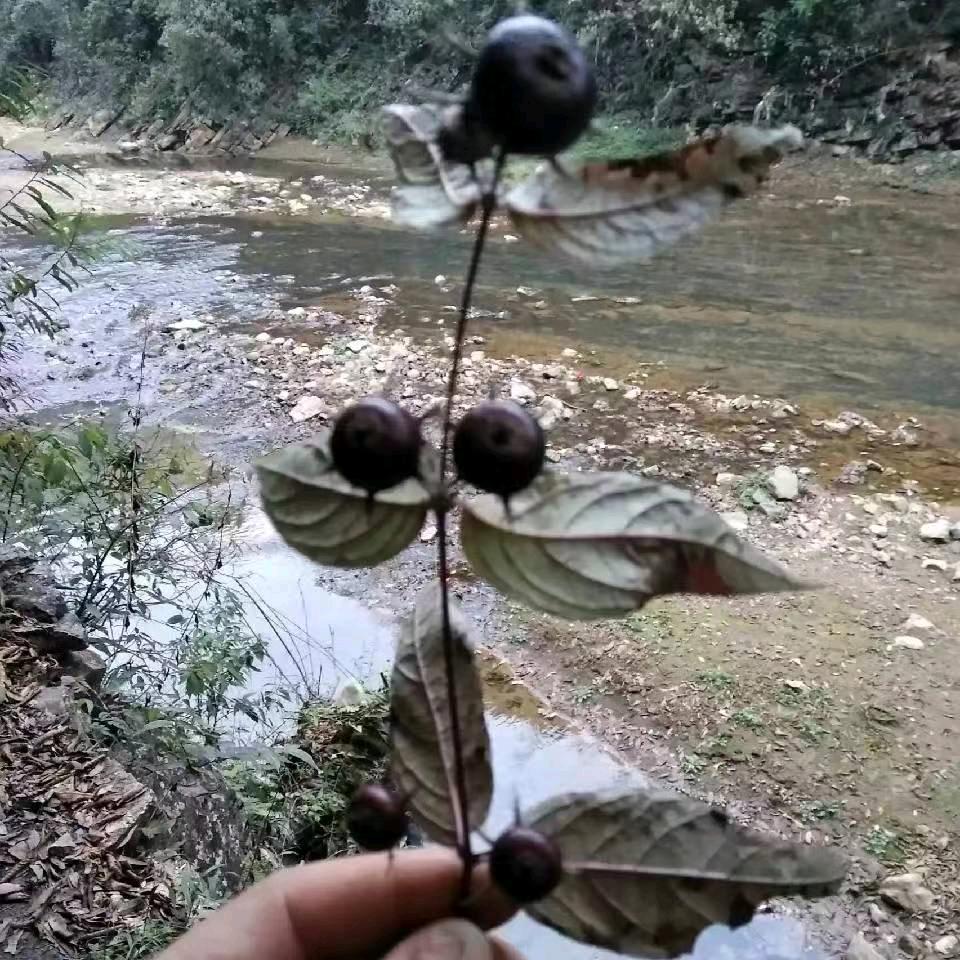做自己就好