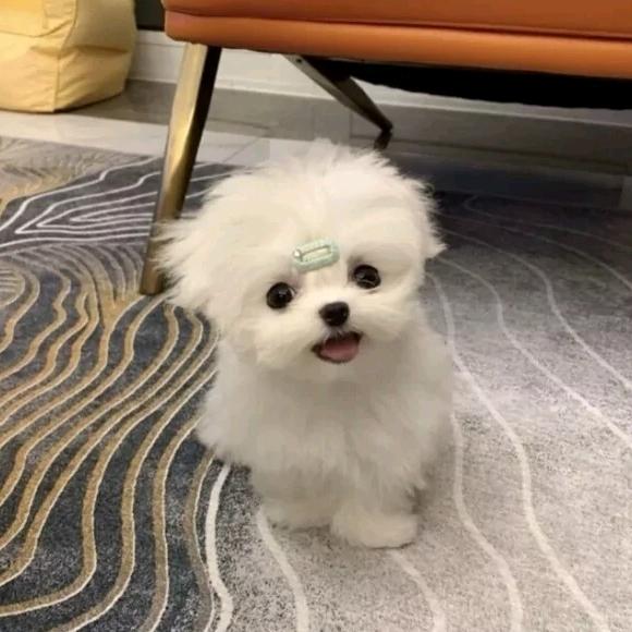 Sᴍɪʟᴇ  €🦦
