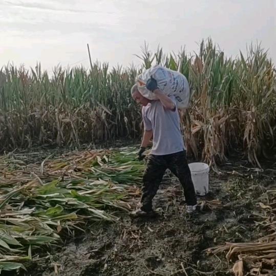 雨婷爸爸（努力赚钱养家）
