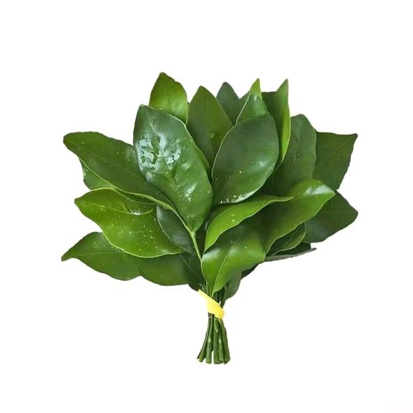 崔奶在家