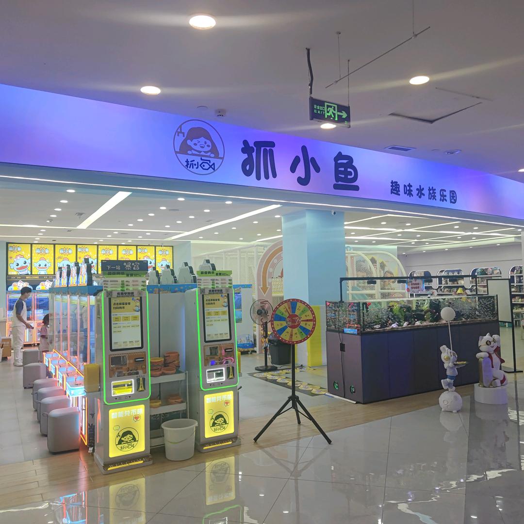 抓小鱼