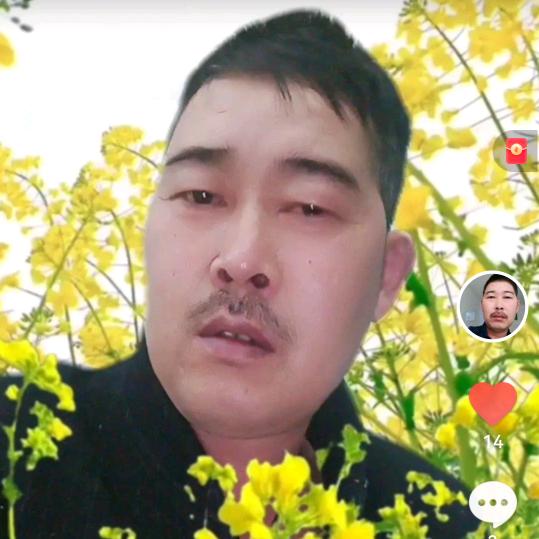 寂寞爱上孤独
