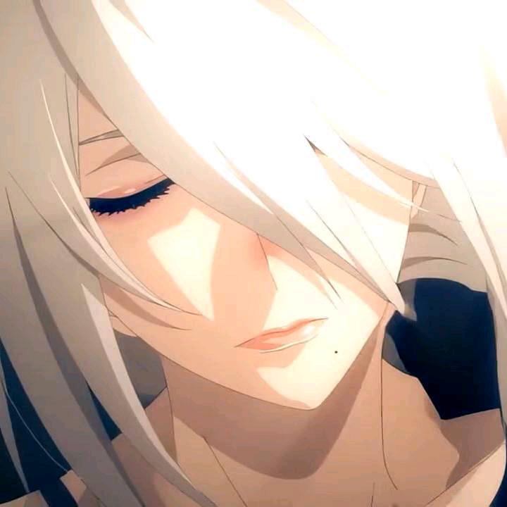 在哈尔滨偷吃马铃薯的土拨鼠