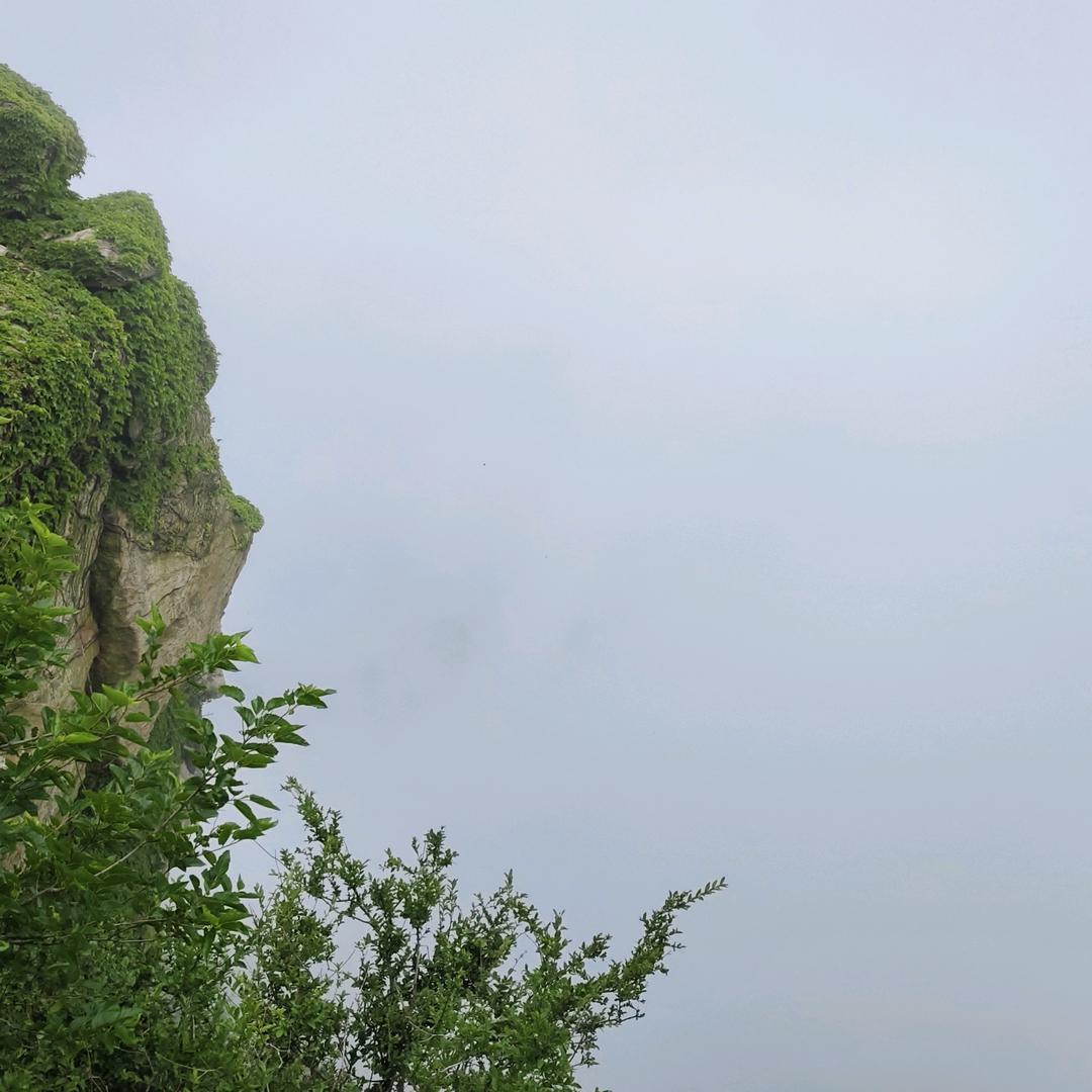 记录♥生活༄༅