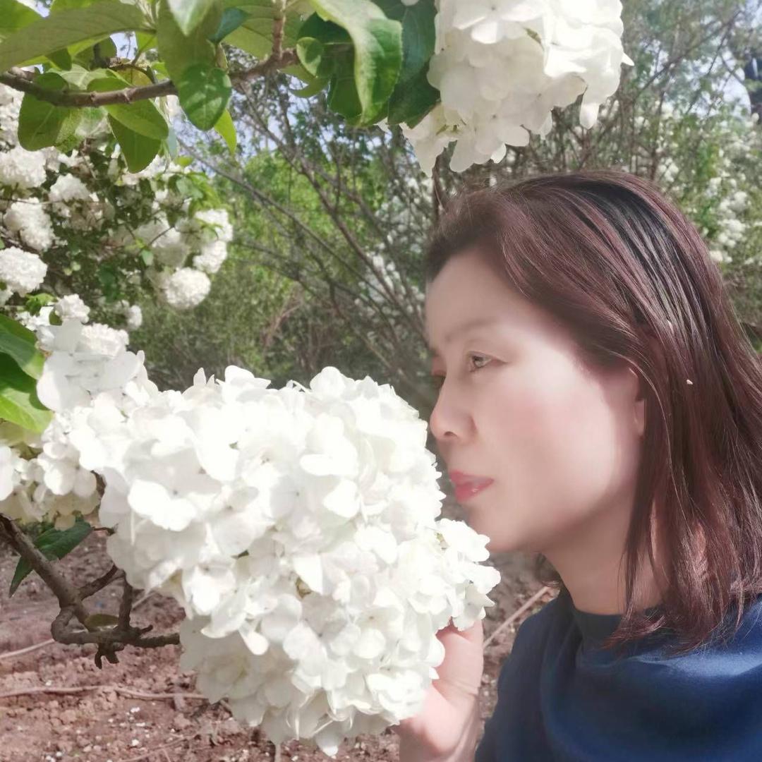 河南驻马店做民宿张姐（可接待旅游团队）