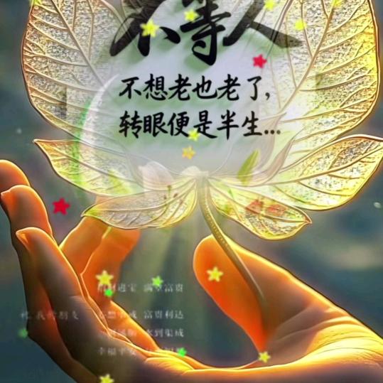 真心遇见