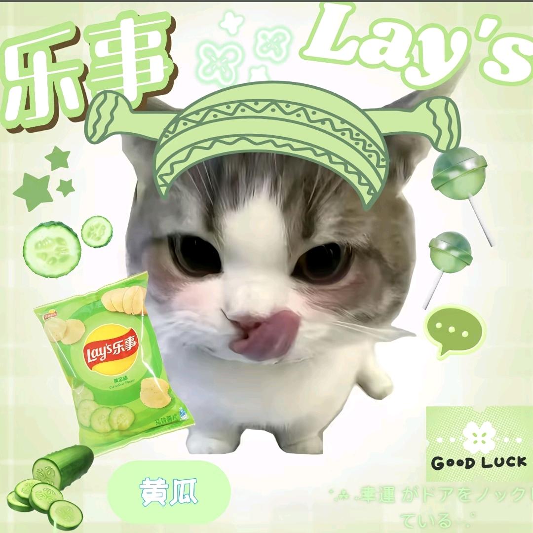 榆木脑袋˃ 𖥦 ˂