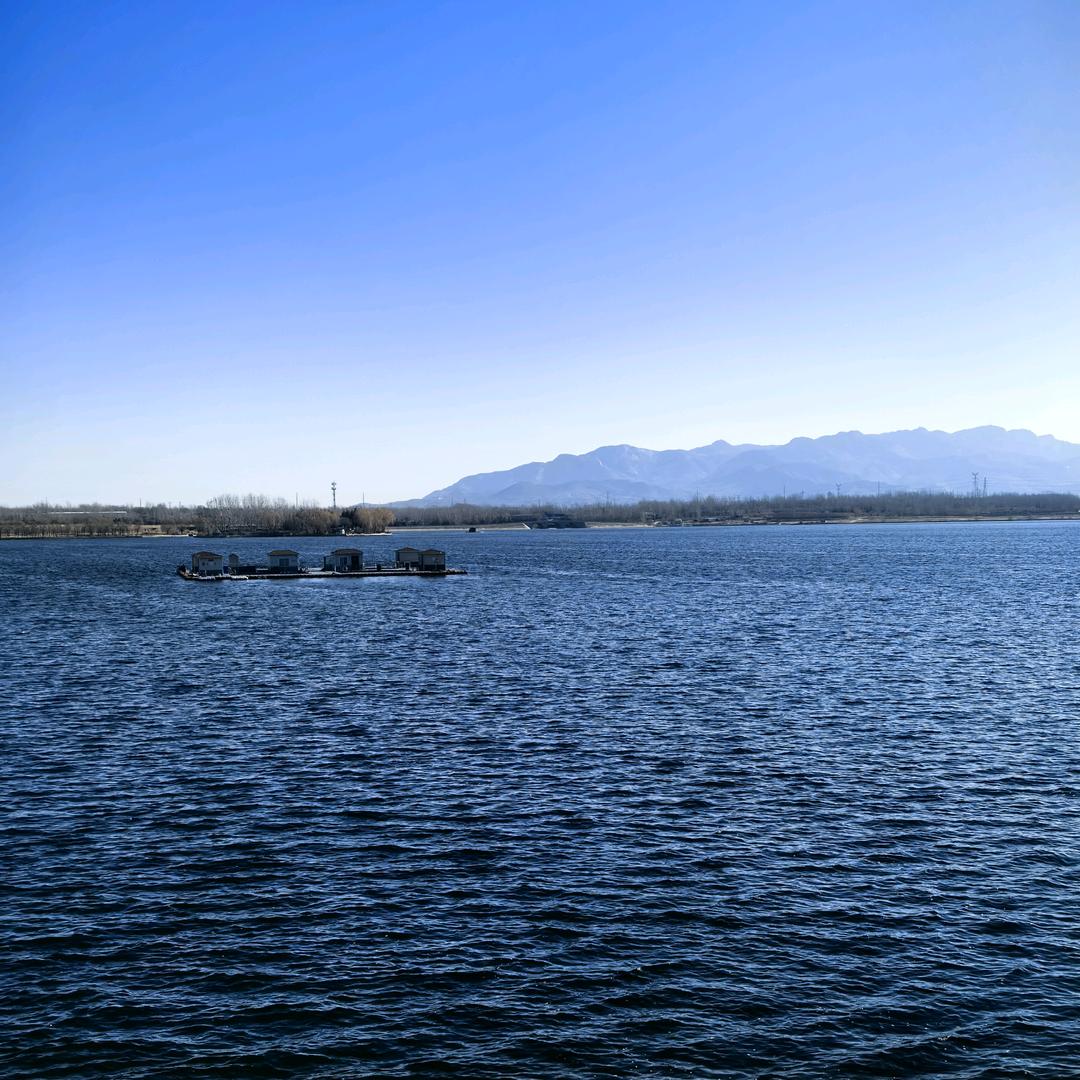 山东刘歌
