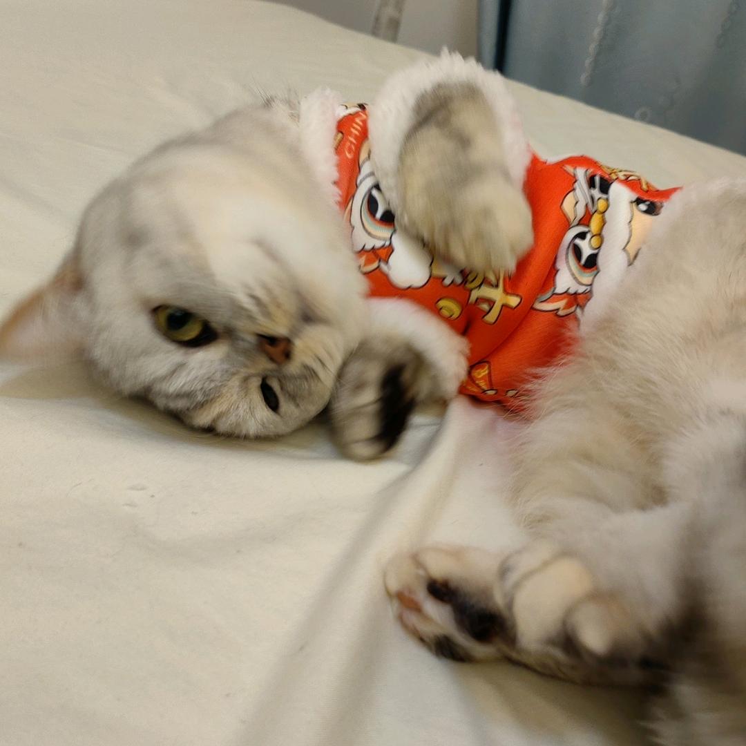 🍀熙耀吖