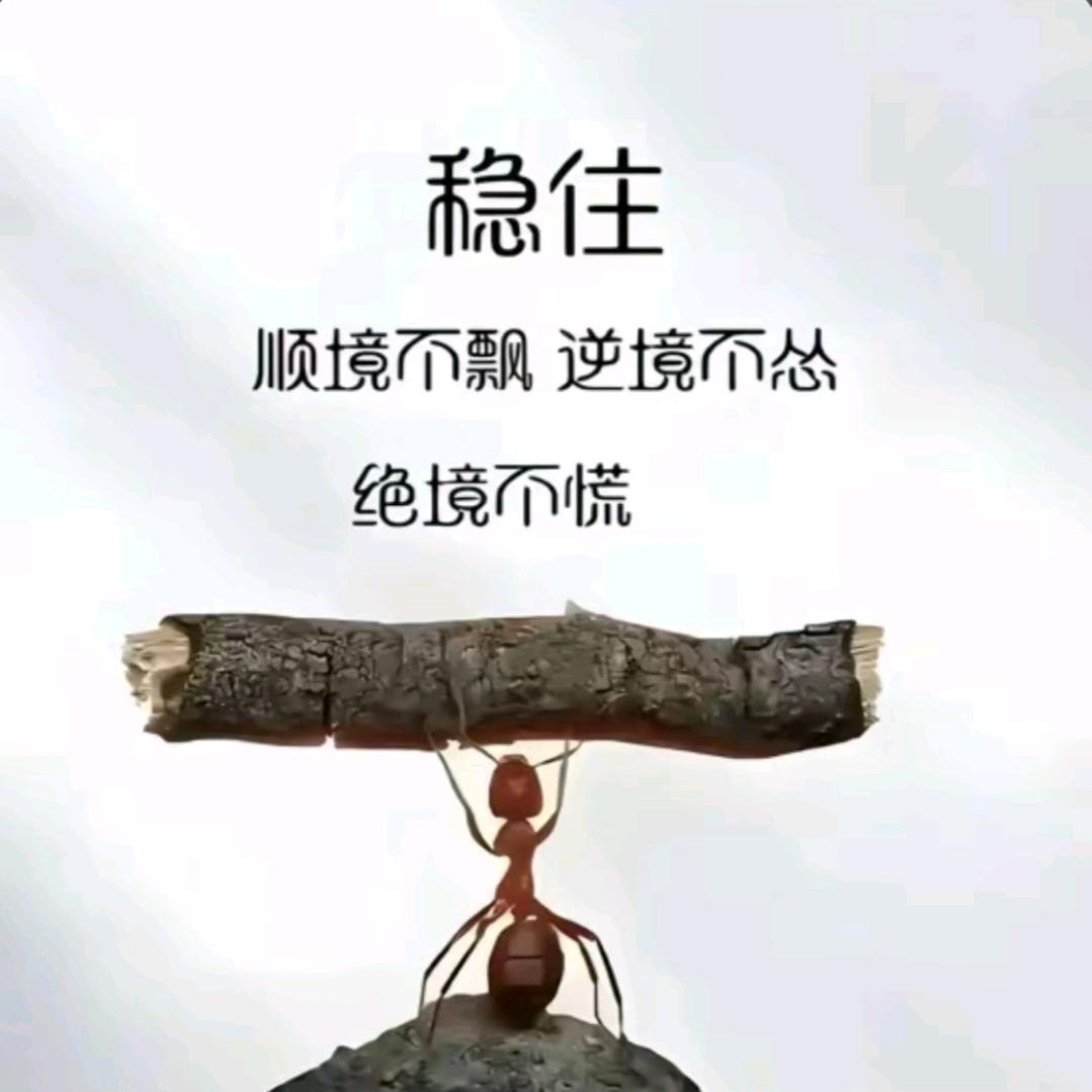 人生没有回头路