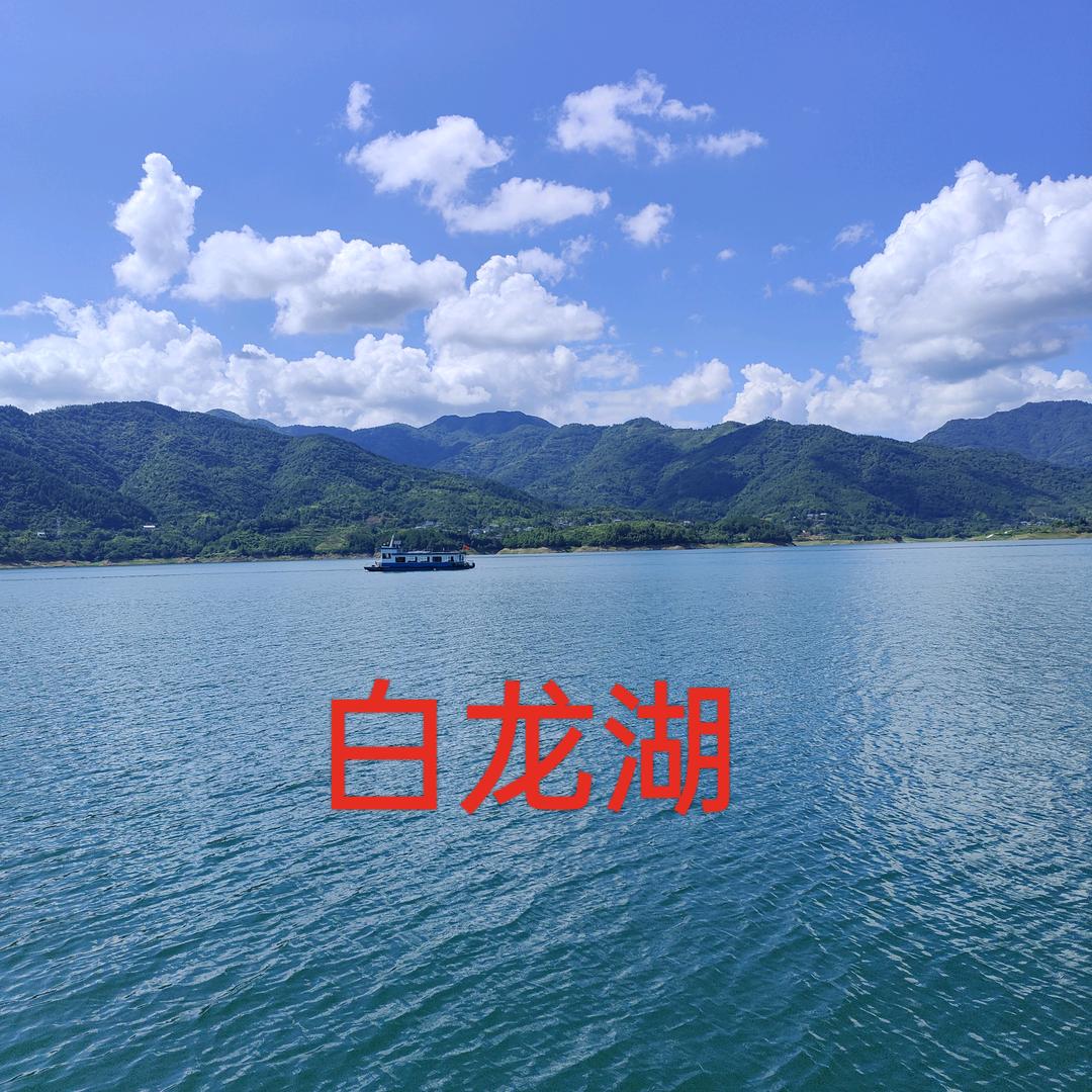 白龙湖绿珍山菇