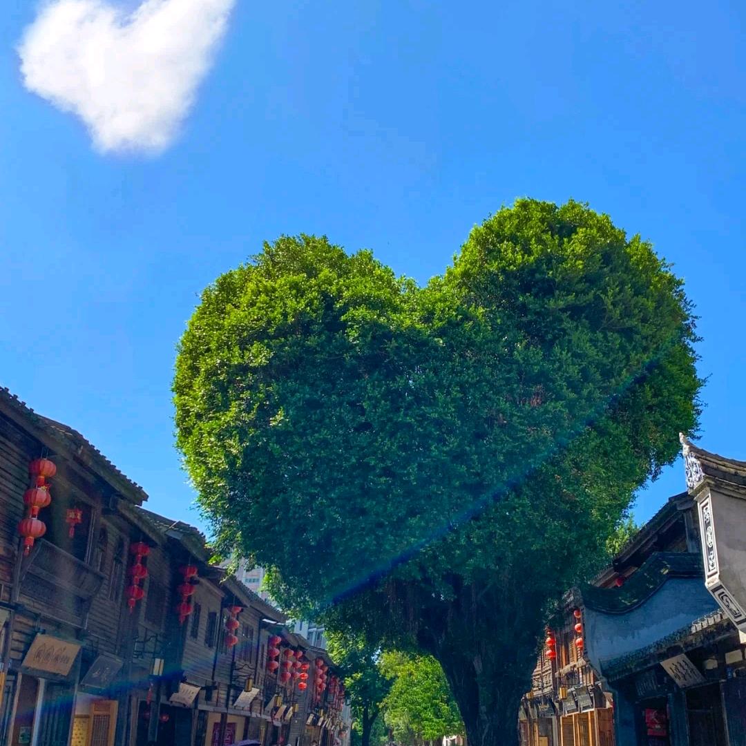 永不言败（短视频带货）