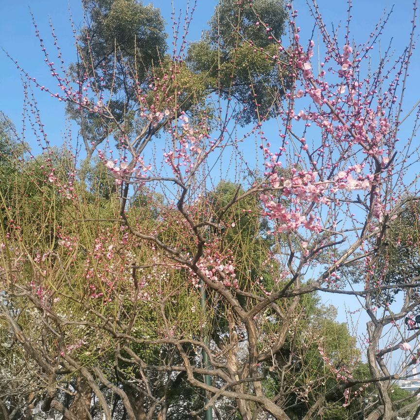 俊姐