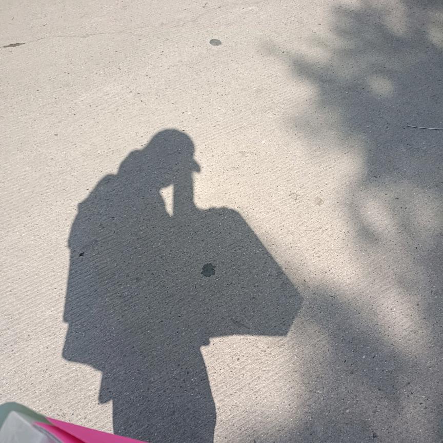 喜欢金银喜欢花露