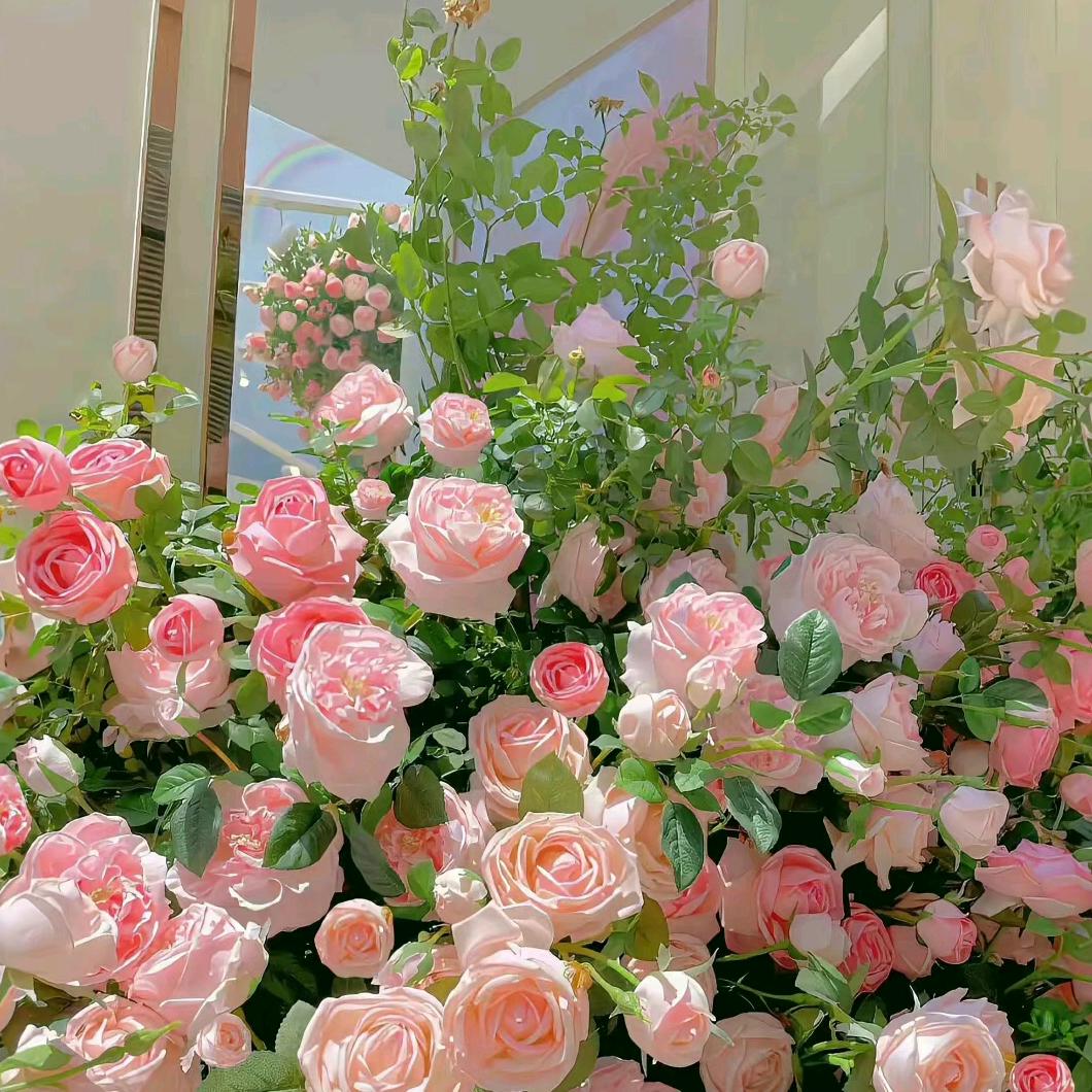 阿菊
