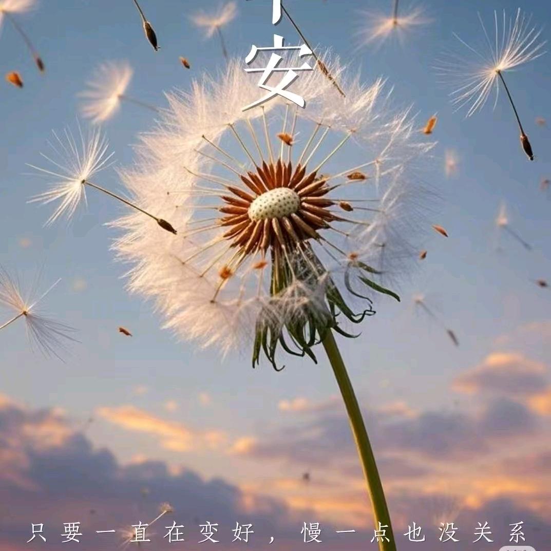 也许仅此