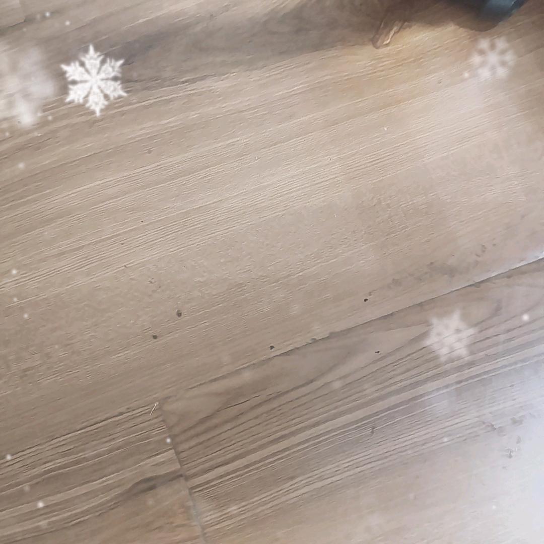 ……………………