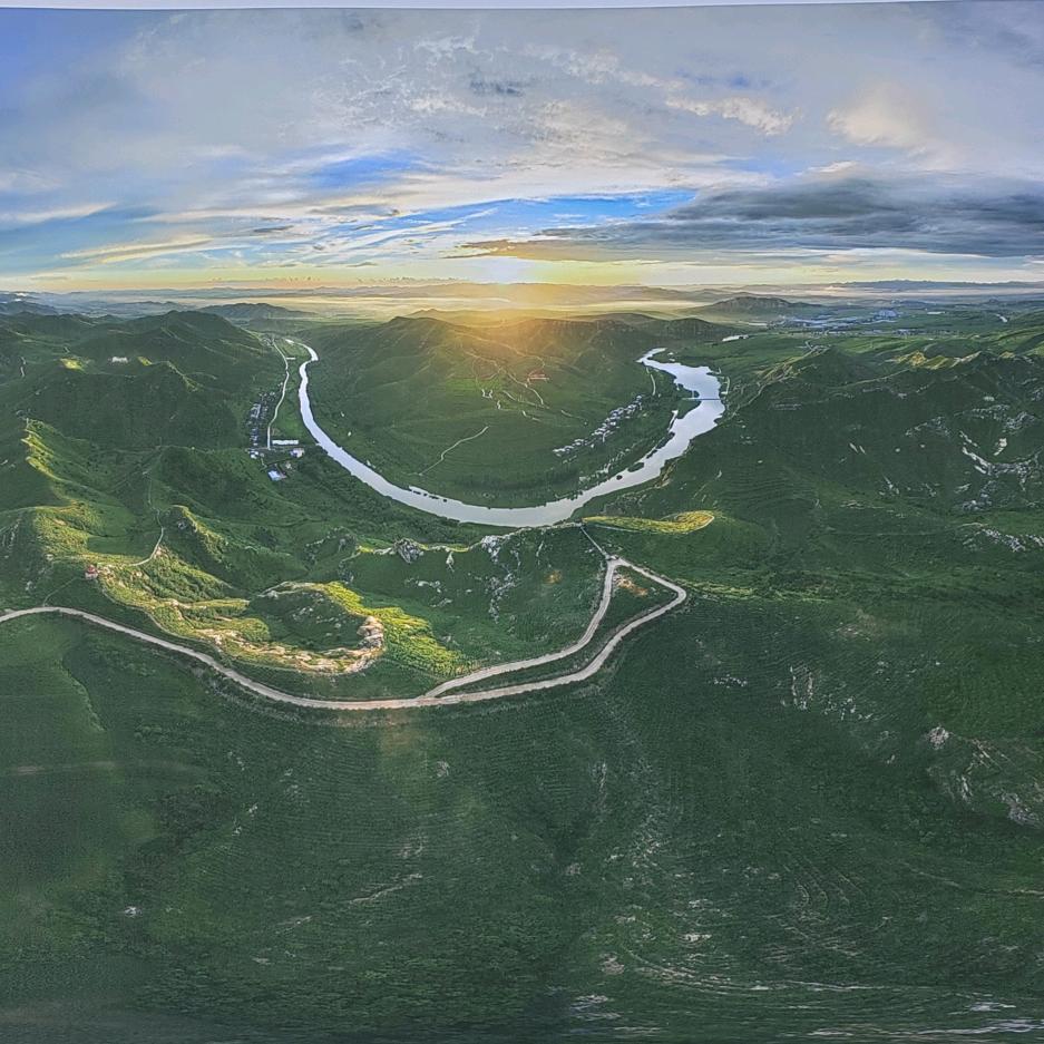 🍁枫🍁叶🍃🍃