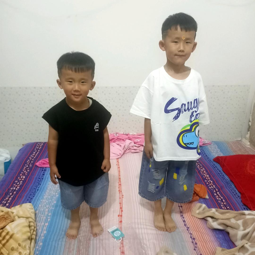 影子狐狸