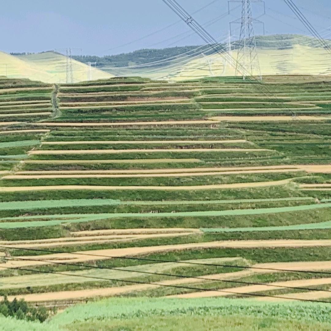 陈果果