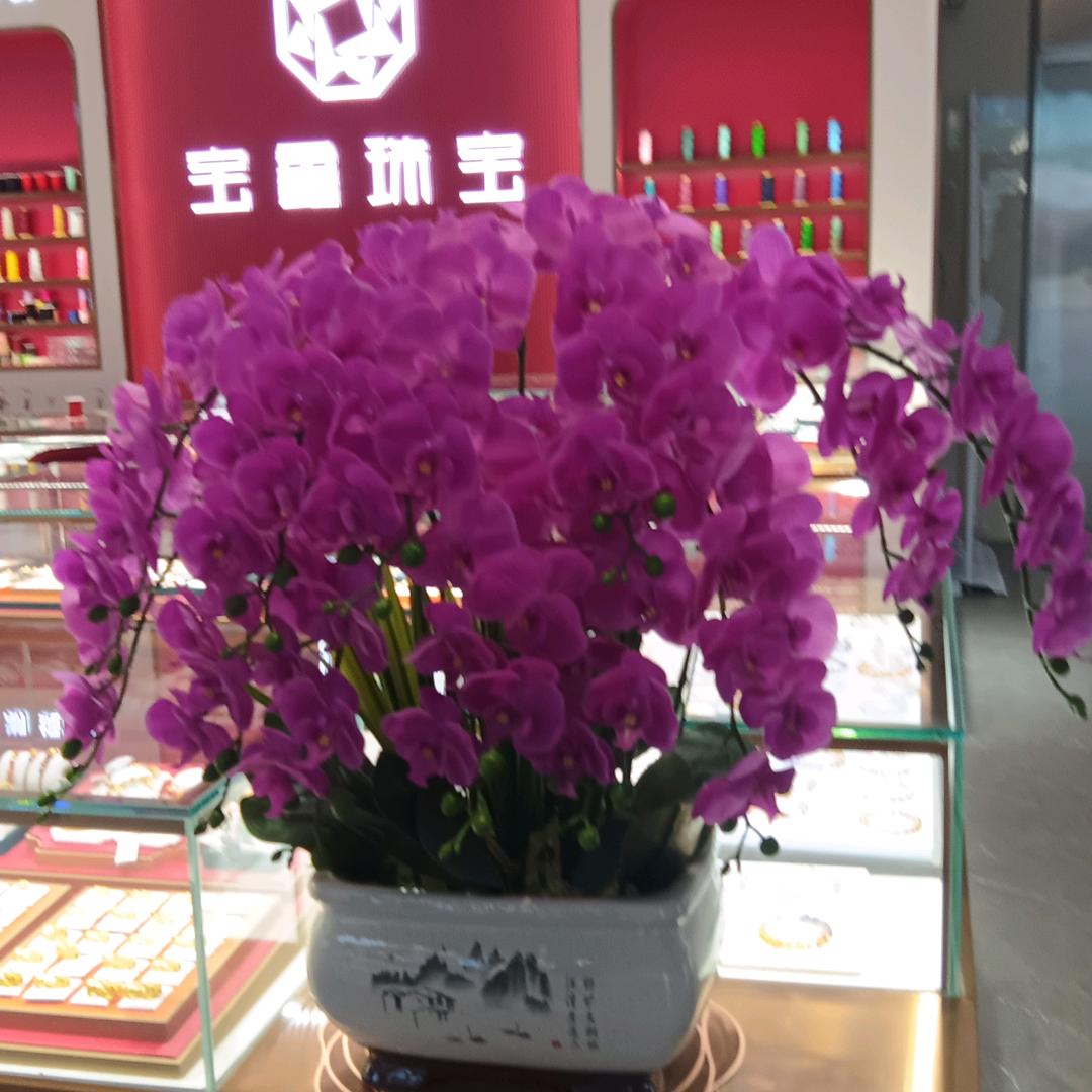 快乐人生_(•̀ω•́ 」∠)_