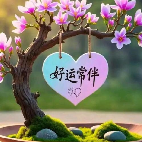 事事如意(三)