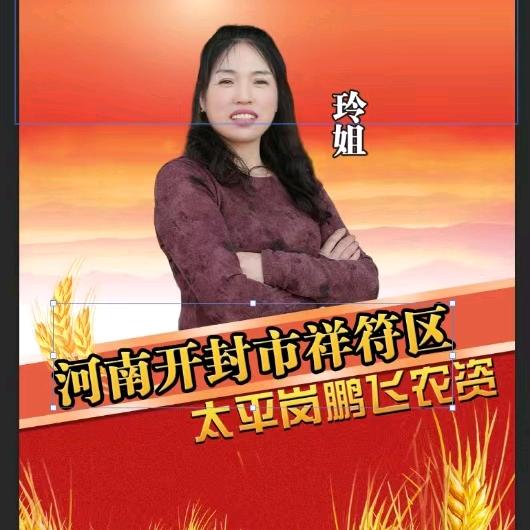 王玲枝太平岗洋丰复合肥直销处聊农业