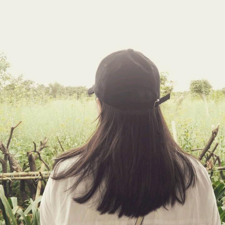 追彩虹者
