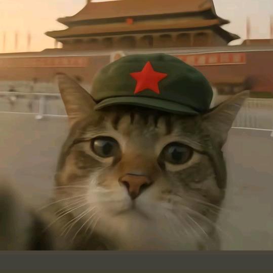 变成大鲨鱼