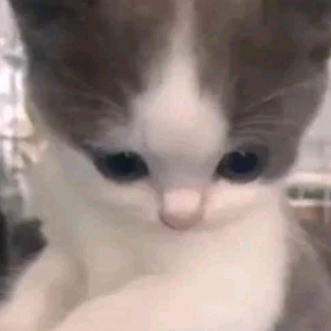小羊芝芝