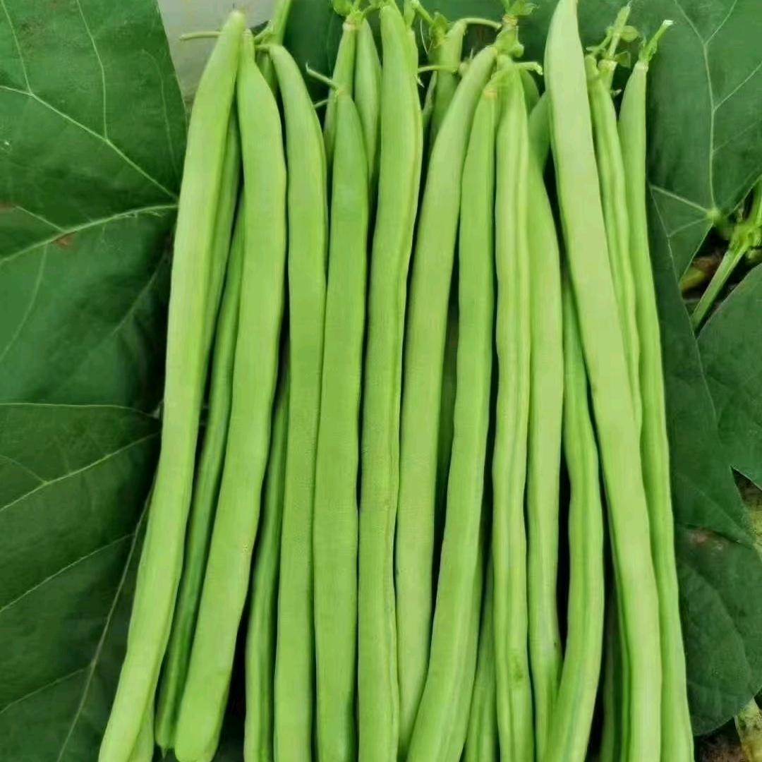 保山豆源鲜仓