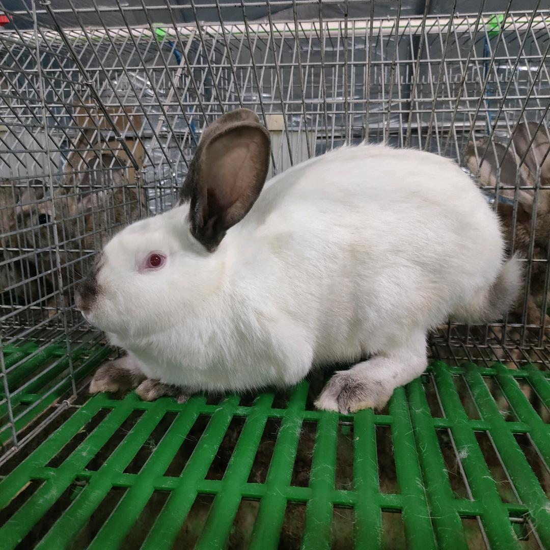 金溪县鸿顺家庭农场